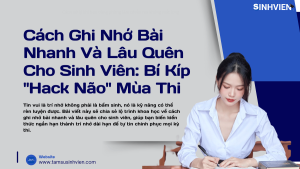 Cách Ghi Nhớ Bài Nhanh Và Lâu Quên Cho Sinh Viên Bí Kíp Hack Não Mùa Thi