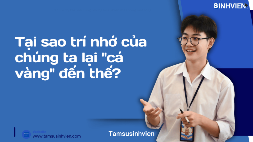Cách Ghi Nhớ Bài Nhanh Và Lâu Quên Cho Sinh Viên: Bí Kíp "Hack Não" Mùa Thi 2 Tại sao trí nhớ của chúng ta lại cá vàng đến thế nhỉ