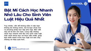 Bật Mí Cách Học Nhanh Nhớ Lâu Cho Sinh Viên Luật Hiệu Quả Nhất