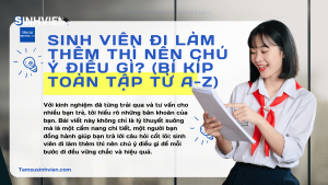 Sinh Viên Đi Làm Thêm Thì Nên Chú Ý Điều Gì (Bí Kíp Toàn Tập Từ A-Z)