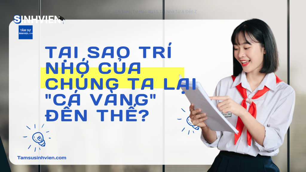 Tại sao trí nhớ của chúng ta lại cá vàng đến thế